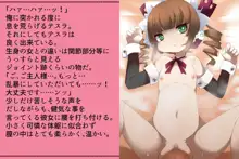 プリゲット!～人間じゃないお姫様たち～, 日本語