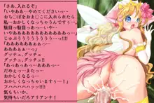 プリゲット!～人間じゃないお姫様たち～, 日本語