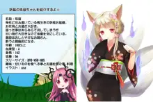 プリゲット!～人間じゃないお姫様たち～, 日本語