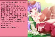 プリゲット!～人間じゃないお姫様たち～, 日本語