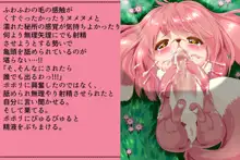 プリゲット!～人間じゃないお姫様たち～, 日本語