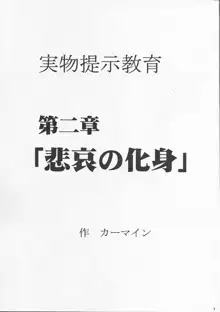 実物提示教育 2, 日本語