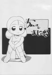 かわいいおともだち, 日本語