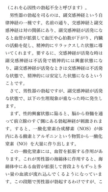 本当に正しいセックス 基本編, 日本語