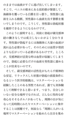 本当に正しいセックス 基本編, 日本語