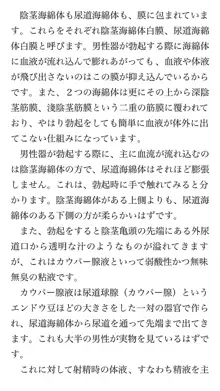 本当に正しいセックス 基本編, 日本語