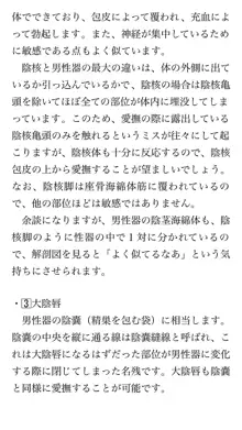 本当に正しいセックス 基本編, 日本語