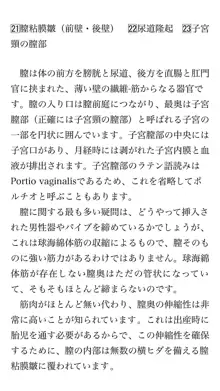 本当に正しいセックス 基本編, 日本語