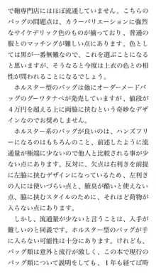 本当に正しいセックス 基本編, 日本語