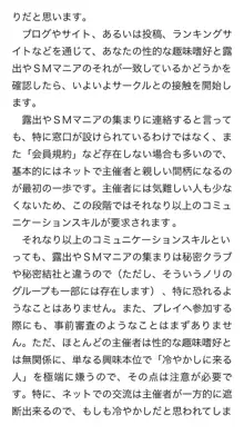 本当に正しいセックス 複数編, 日本語