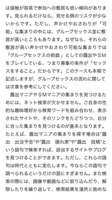 本当に正しいセックス 複数編, 日本語