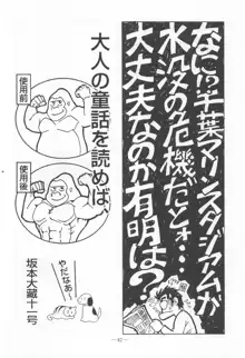 大人の童話 Vol.9, 日本語