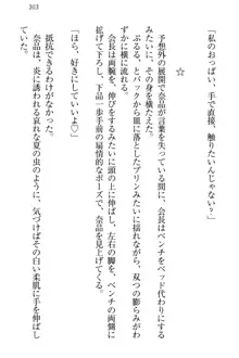 生徒会長・可憐堂れいわがぱんつを見せてくる放課後, 日本語