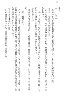 生徒会長・可憐堂れいわがぱんつを見せてくる放課後, 日本語