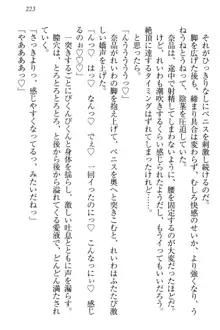 生徒会長・可憐堂れいわがぱんつを見せてくる放課後, 日本語