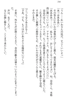 生徒会長・可憐堂れいわがぱんつを見せてくる放課後, 日本語