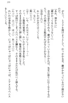 生徒会長・可憐堂れいわがぱんつを見せてくる放課後, 日本語