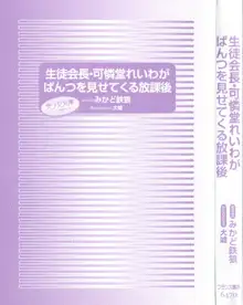 生徒会長・可憐堂れいわがぱんつを見せてくる放課後, 日本語