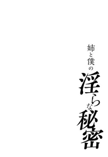 姉と僕の淫らな秘密, 日本語