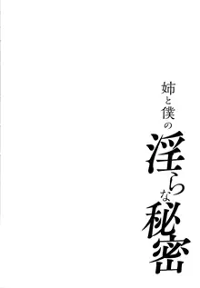 姉と僕の淫らな秘密, 日本語