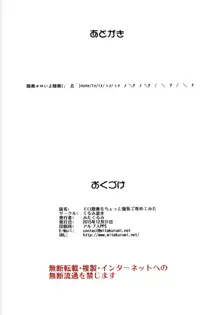 エロ陸奥をちょっと強気で攻めてみた, 日本語