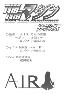 TIMTIMマシン -Air- 体験版, 日本語