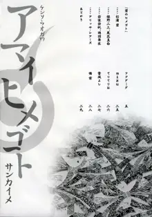 アマイヒメゴト サンカイメ, 日本語