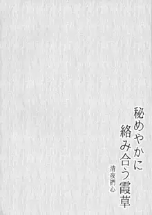 秘めやかに絡み合う霞草, 日本語