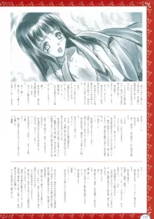 ALICEの館456 オフィシャルガイド, 日本語