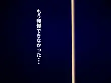 おねえちゃんの自由研究, 日本語