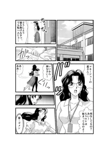 羽衣びーなす5, 日本語