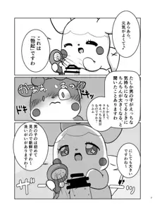 ヒミツのひみつ, 日本語