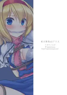 東方陵辱45 アリス, 日本語