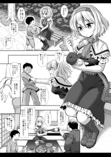 東方陵辱45 アリス, 日本語