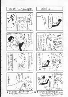 やっぱりいいんちょがすき, 日本語