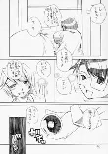 ある朝目が覚めたら、人間になった蒼星石が台所に立っていたという妄想をマンガにした本。, 日本語