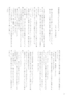 神通桃色遊戯録, 日本語