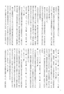 神通桃色遊戯録, 日本語