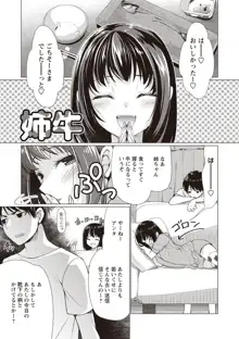 ふわとろ巨乳なおねーさん♡, 日本語