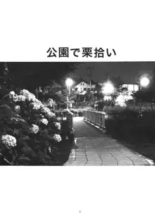 公園で栗拾い, 日本語