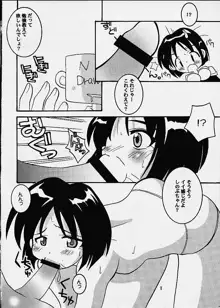 しのぶちゃんのH本。, 日本語