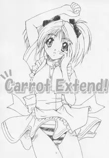 Carrot Extend!, 日本語