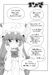 東方迷込 ～パチュリー編～, 日本語