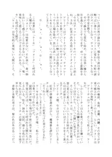 変化系簿-TF Account book- Vol.2, 日本語