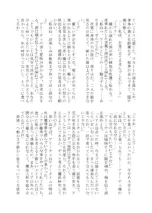 変化系簿-TF Account book- Vol.2, 日本語