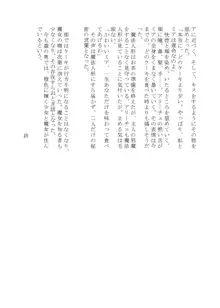 変化系簿-TF Account book- Vol.2, 日本語