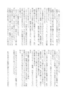 変化系簿-TF Account book- Vol.2, 日本語