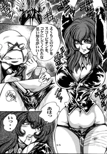 FUJIKO, 日本語