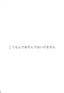 AppleCure, 日本語