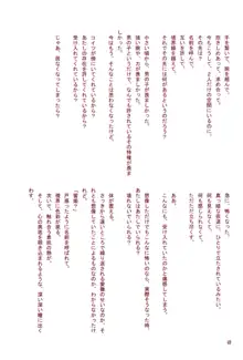 超妄想プラグインH, 日本語